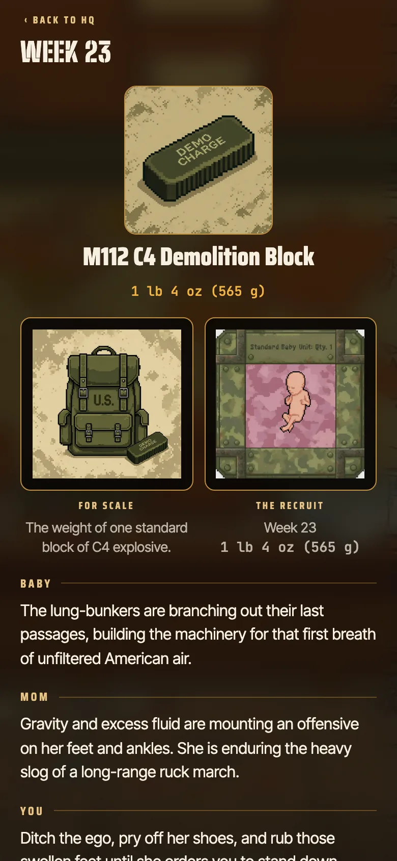 The week 23 report: the M112 C4 demolition block at 1 lb 4 oz, shown for scale beside the baby, with sections for baby, mom and you